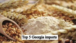 Top 5 Imports of Georgia