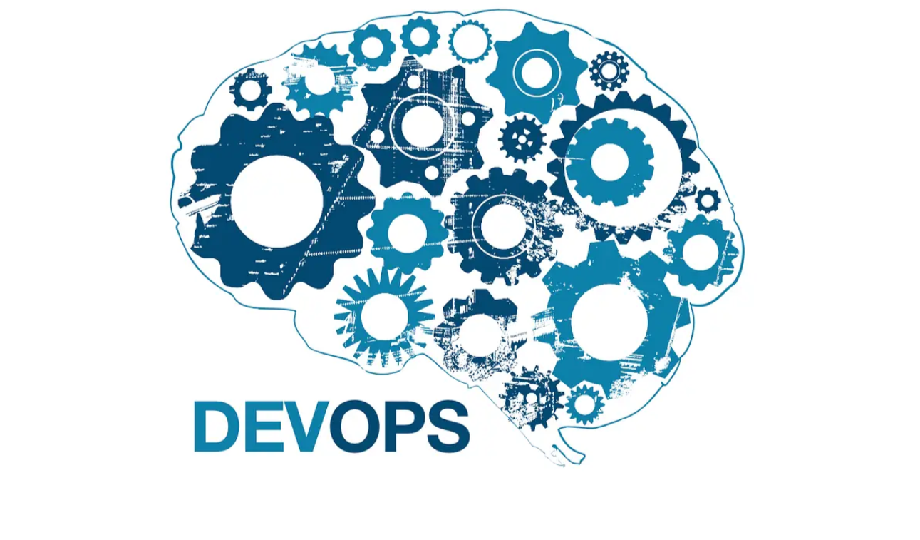 DevOps professionals